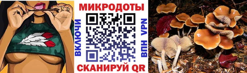 блэк спрут ТОР  как найти наркотики  Себеж  Галлюциногенные грибы мухоморы 